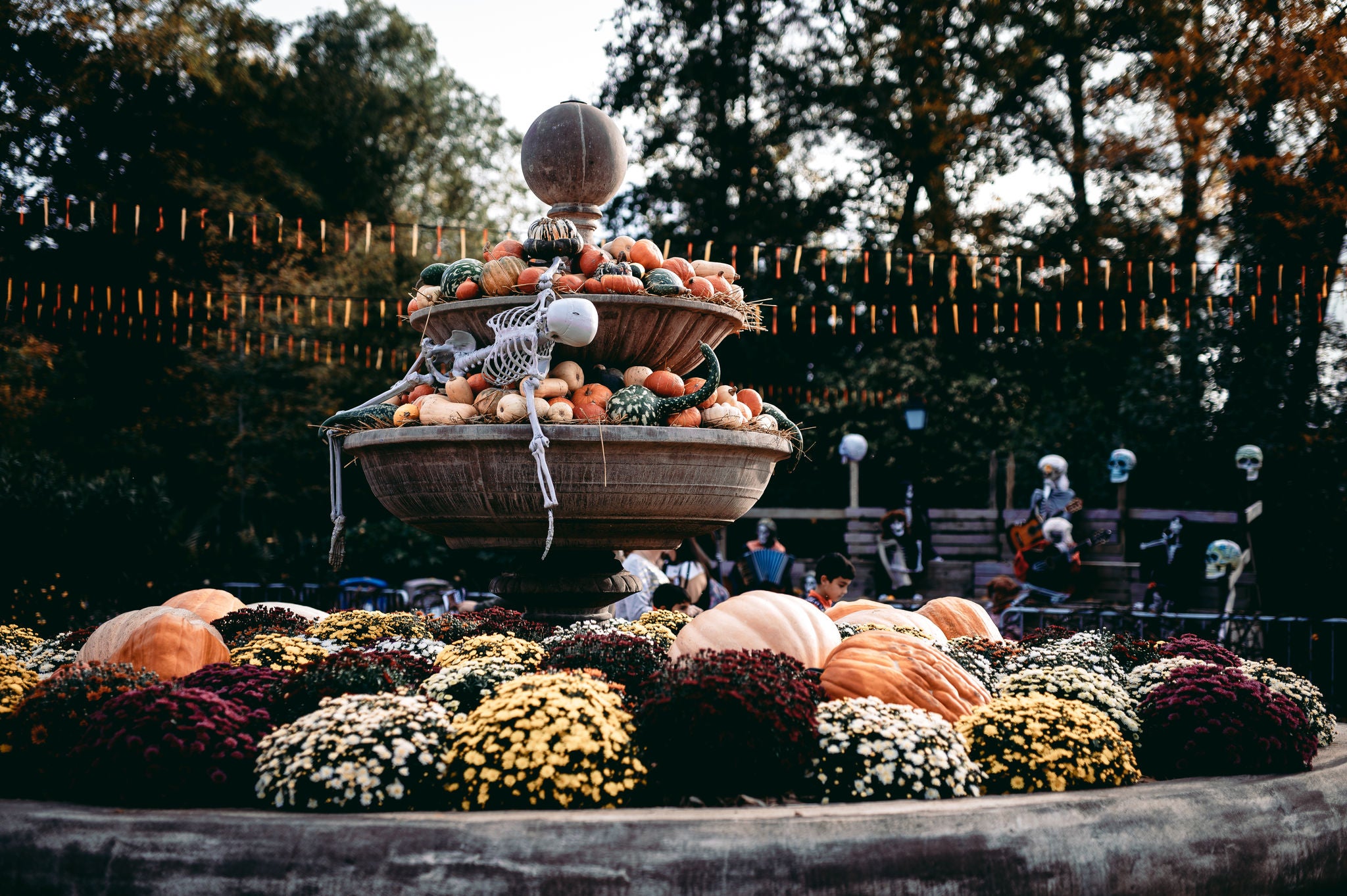 Chrisanten in de fontein als halloweendecoratie.