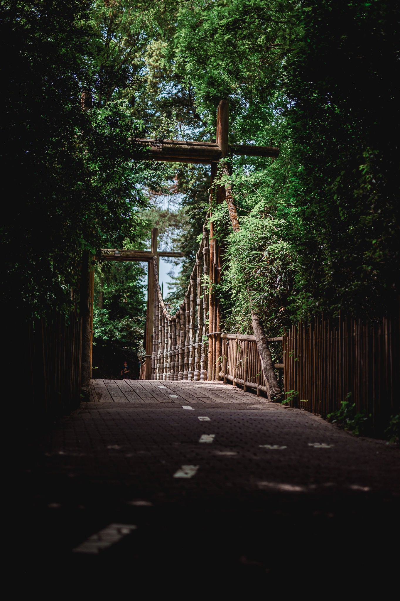 Brug in de natuurrijke Jungle.