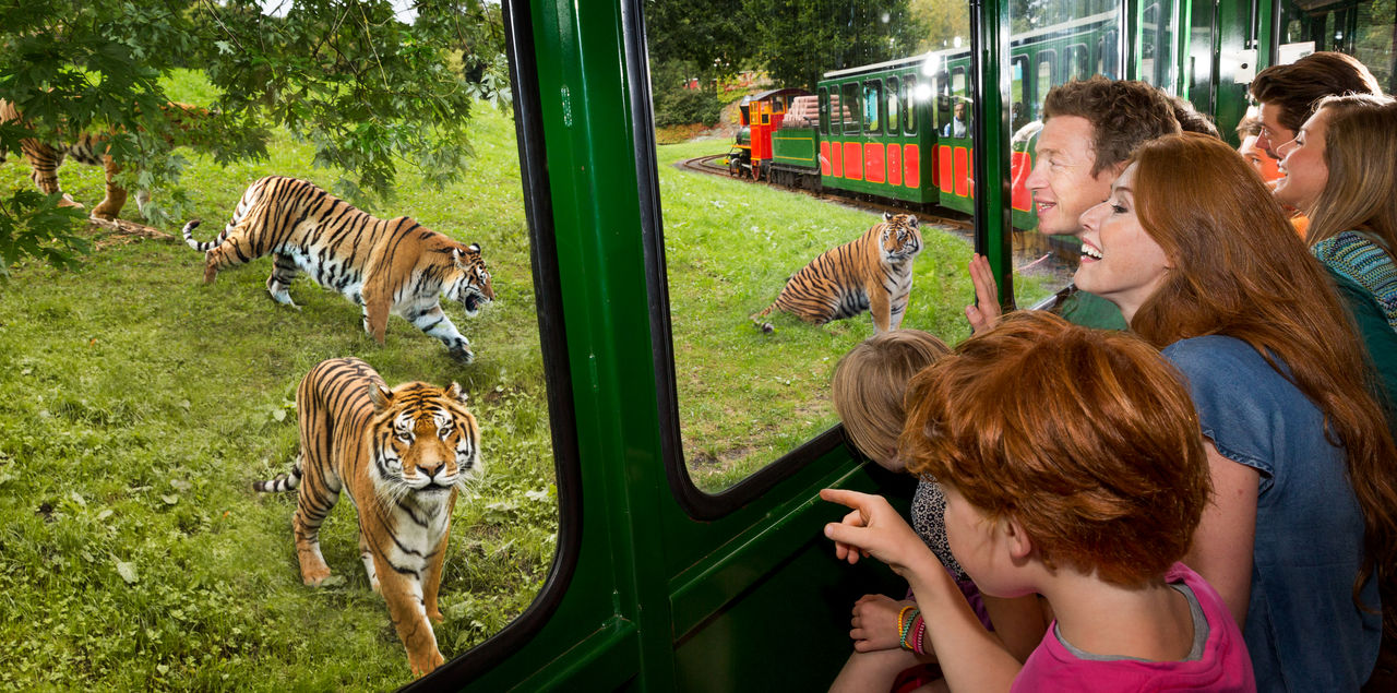 Tijgers sluipen naar de Bengal Express trein met een gezin als passagiers.